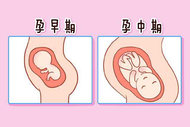 深圳市妇幼保健院可以做供卵试管婴儿吗？
