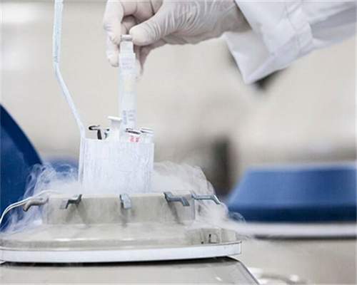 右附件囊性暗区是宫外孕吗