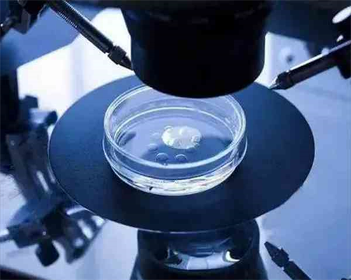 深圳做试管婴儿费用是多少