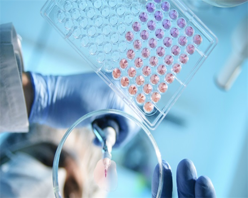 国内最新代怀价格表_包生男孩的试管医院广西南宁,胚胎移植
						