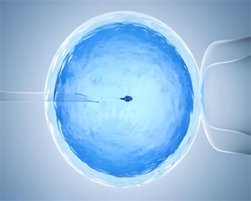 代孕价目表_代孕最正规机构,冷冻胚胎移植流程(冷冻移植前流程)