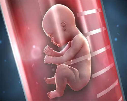 深圳供卵是否合法,北大深圳医院试管冷冻6管有多少个囊胚！要等多长时间！