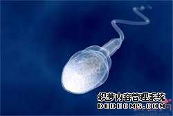 如何做合法供卵试管,供卵试管禁止的原因,代北京代孕生产子北京代孕价格