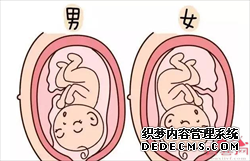 代怀生儿子公司-找代生生小孩要多少钱-【科技受孕，科学北京代孕】
