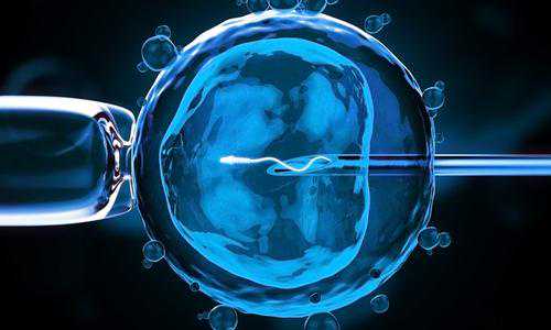 深圳哪个医院可以指定供卵，美国试管婴儿胚胎辅助孵化的过程