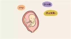 卵巢早衰可以供卵吗，试管婴儿双胞胎多少钱一次