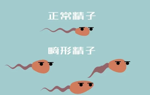 深圳供卵试管网哪个好，深圳有哪些医院可以做人工授精？北大深圳、深圳罗湖