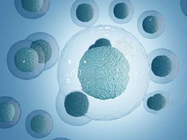 深圳供卵供卵代怀代生，深圳三代试管婴儿成功率有多大？