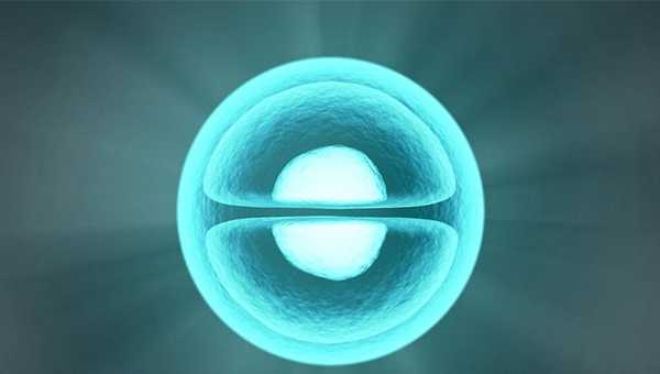 深圳供卵助孕怎么找，深圳哪家医院可以做供卵试管？