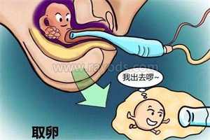 深圳有供卵的医院吗，深圳市做试管婴儿哪家医院好？
