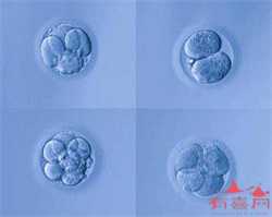 深圳同性供卵试管流程，【深圳供卵流程 南宁供卵价格】说说自己的备孕两年